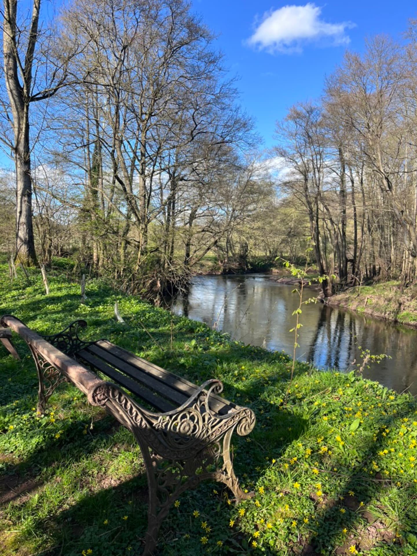 A Victorian iron bench beside the river at Ruthlin, set among woodland