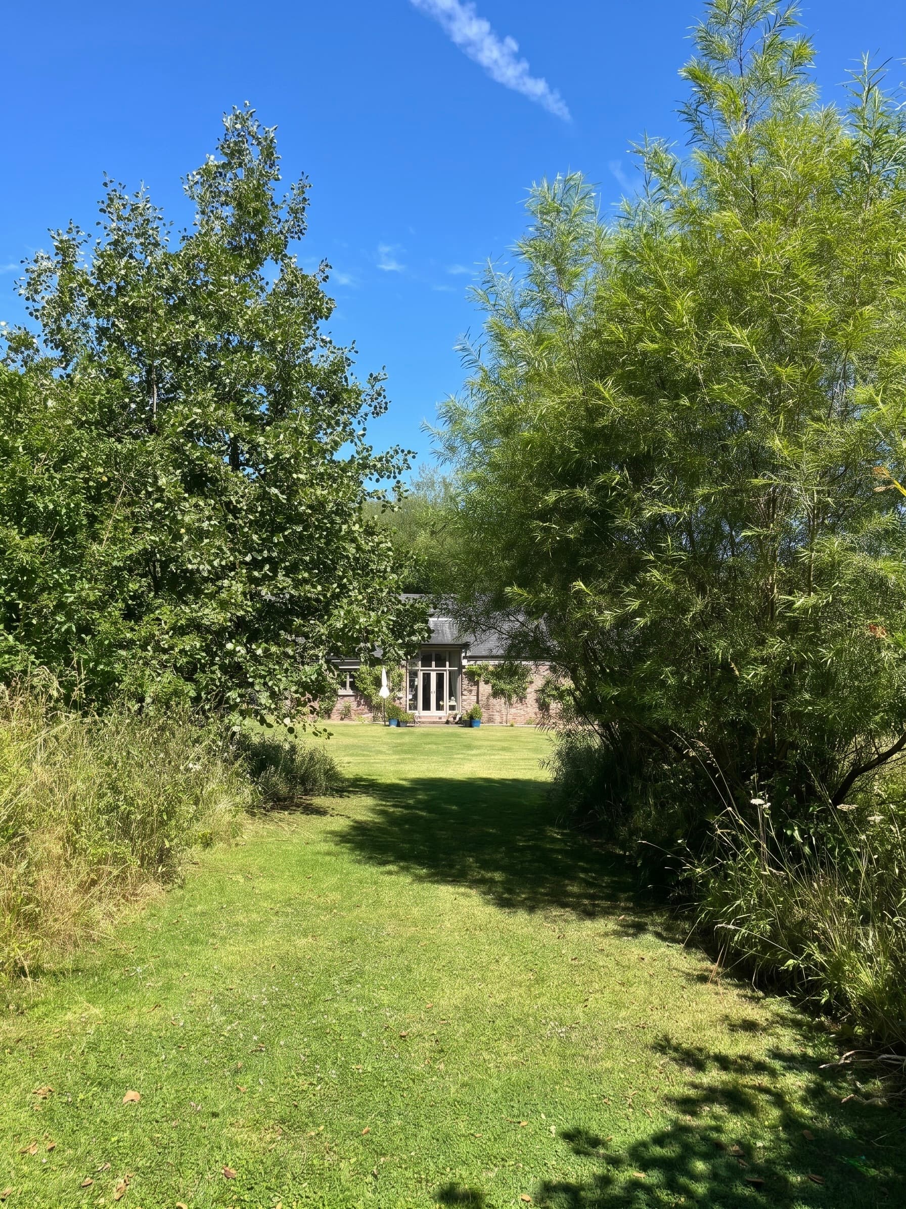Garden view through the trees at Ruthlin