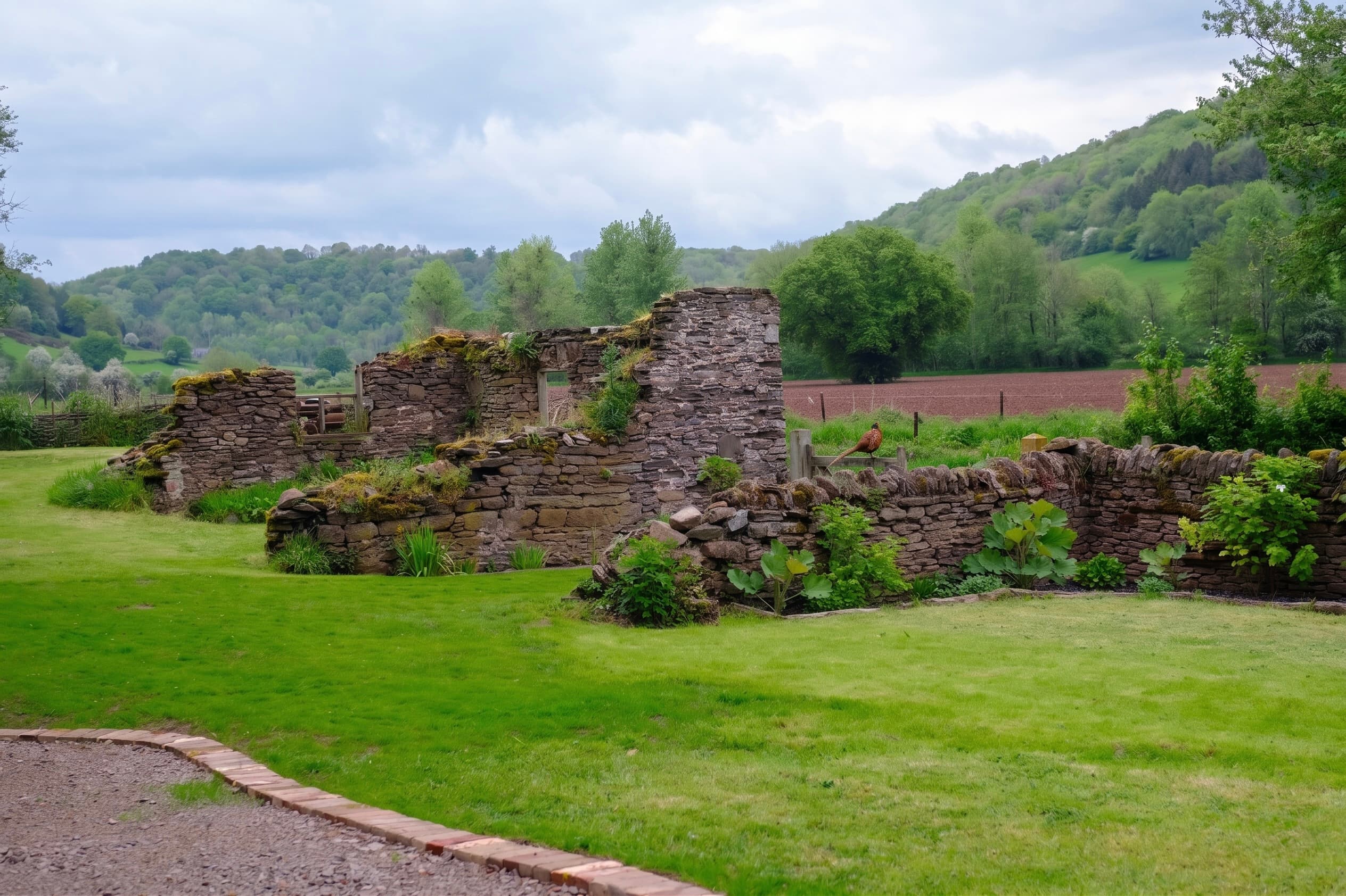 Ruthlin from the grounds
