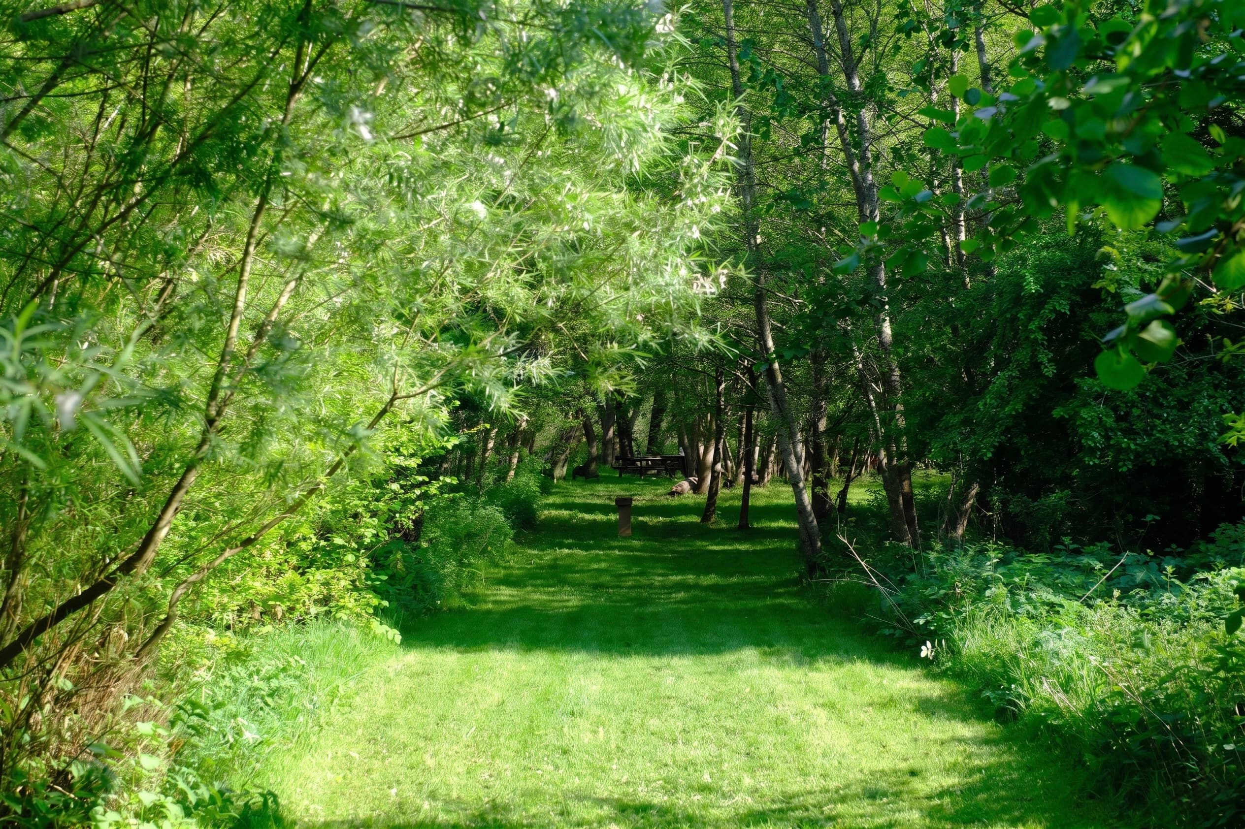 The Ruthlin grounds in summer