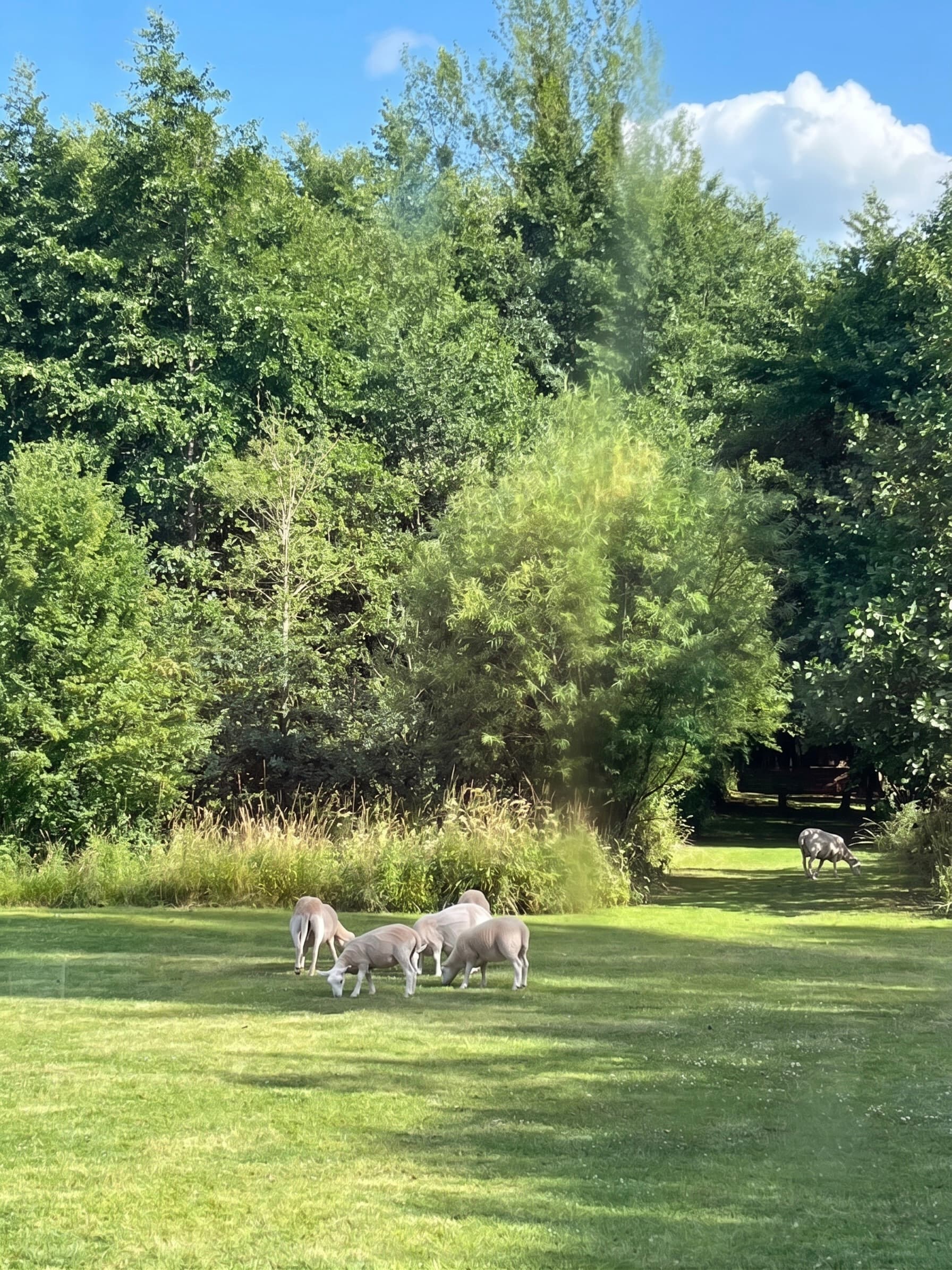 The Ruthlin estate