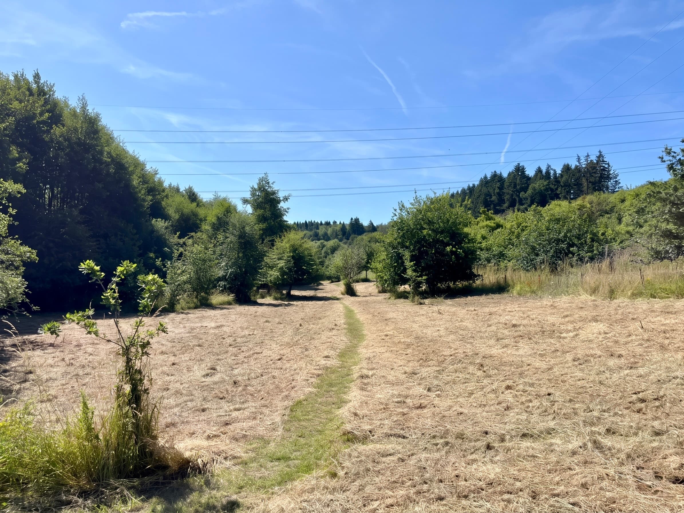 The Ruthlin grounds and Welsh hills