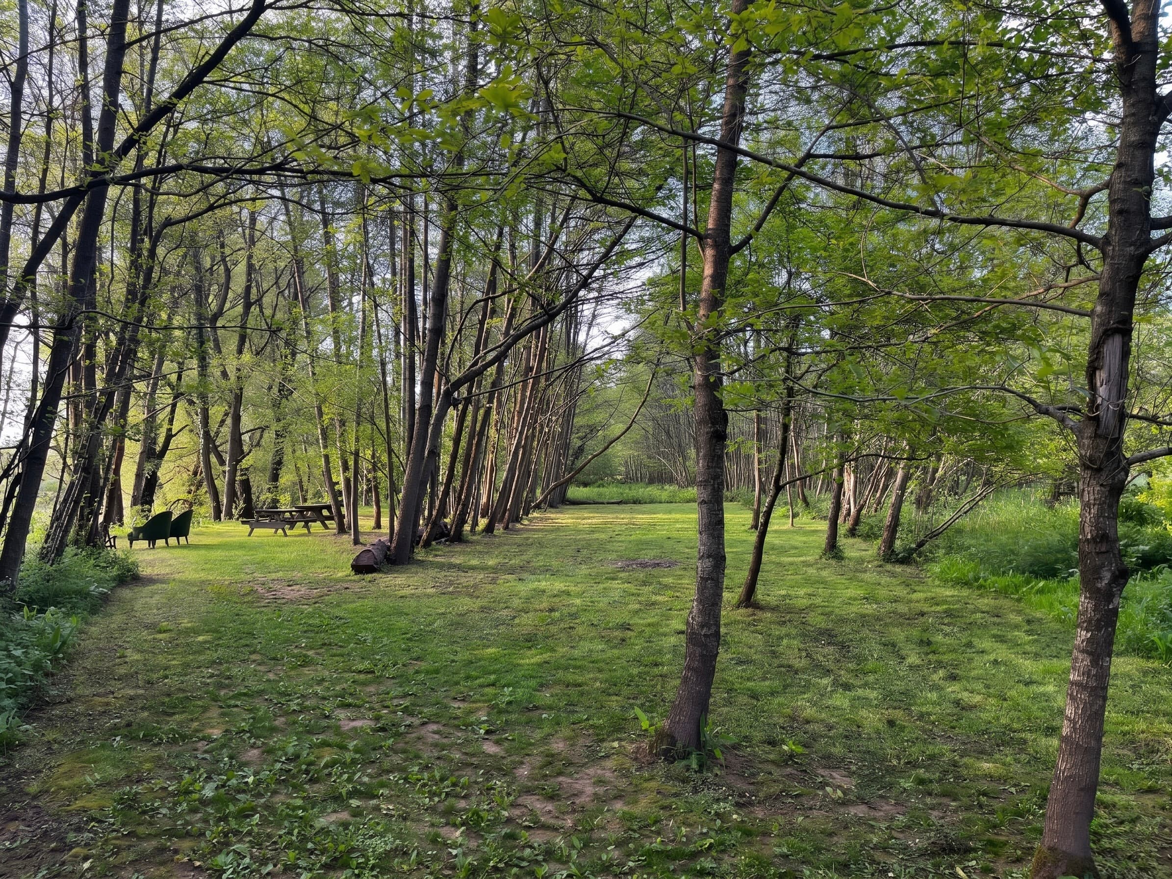 The stone banquet table and woodland grounds at Ruthlin, Welsh hills beyond