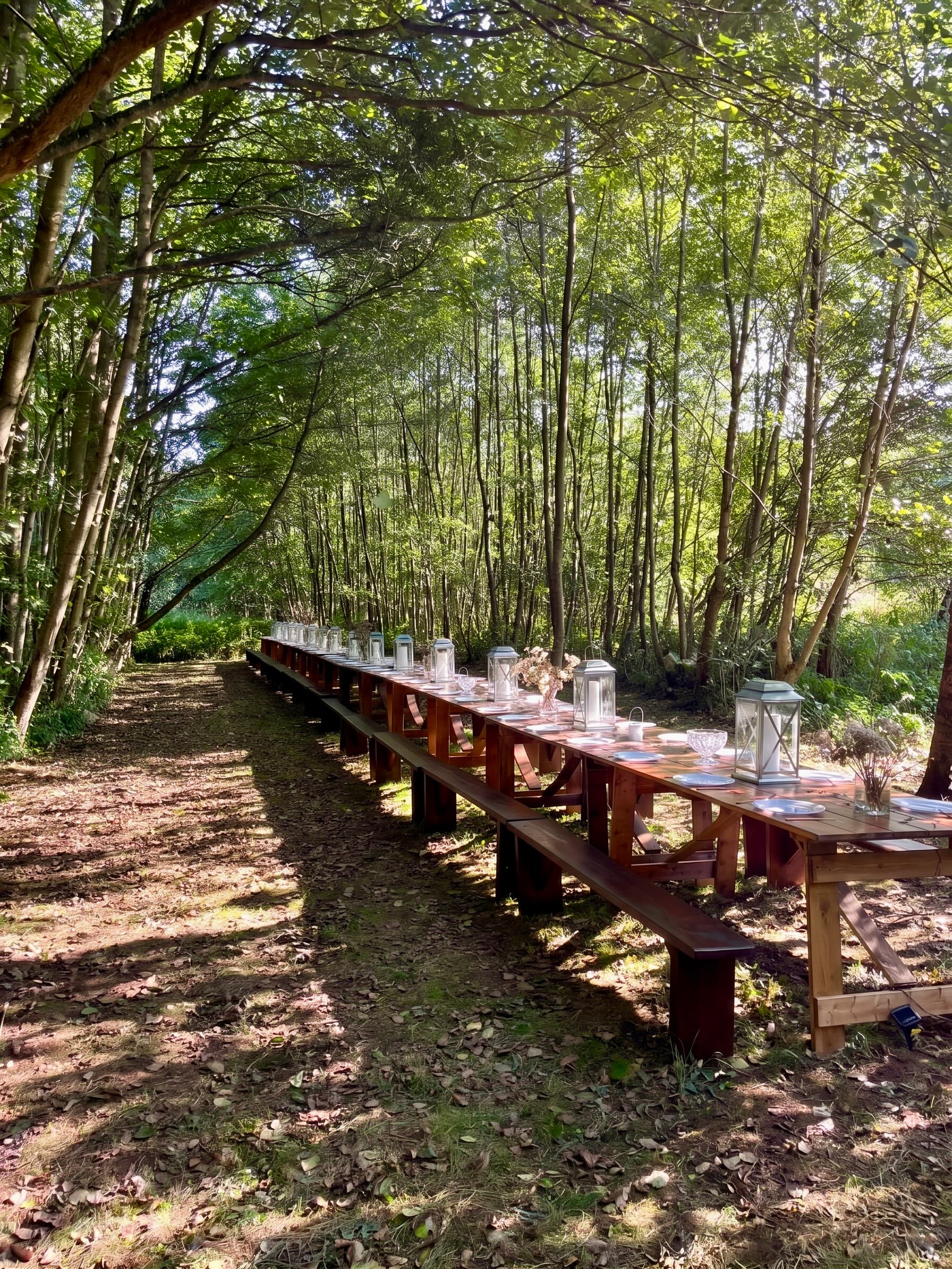 The banquet table set for dinner in the woodland