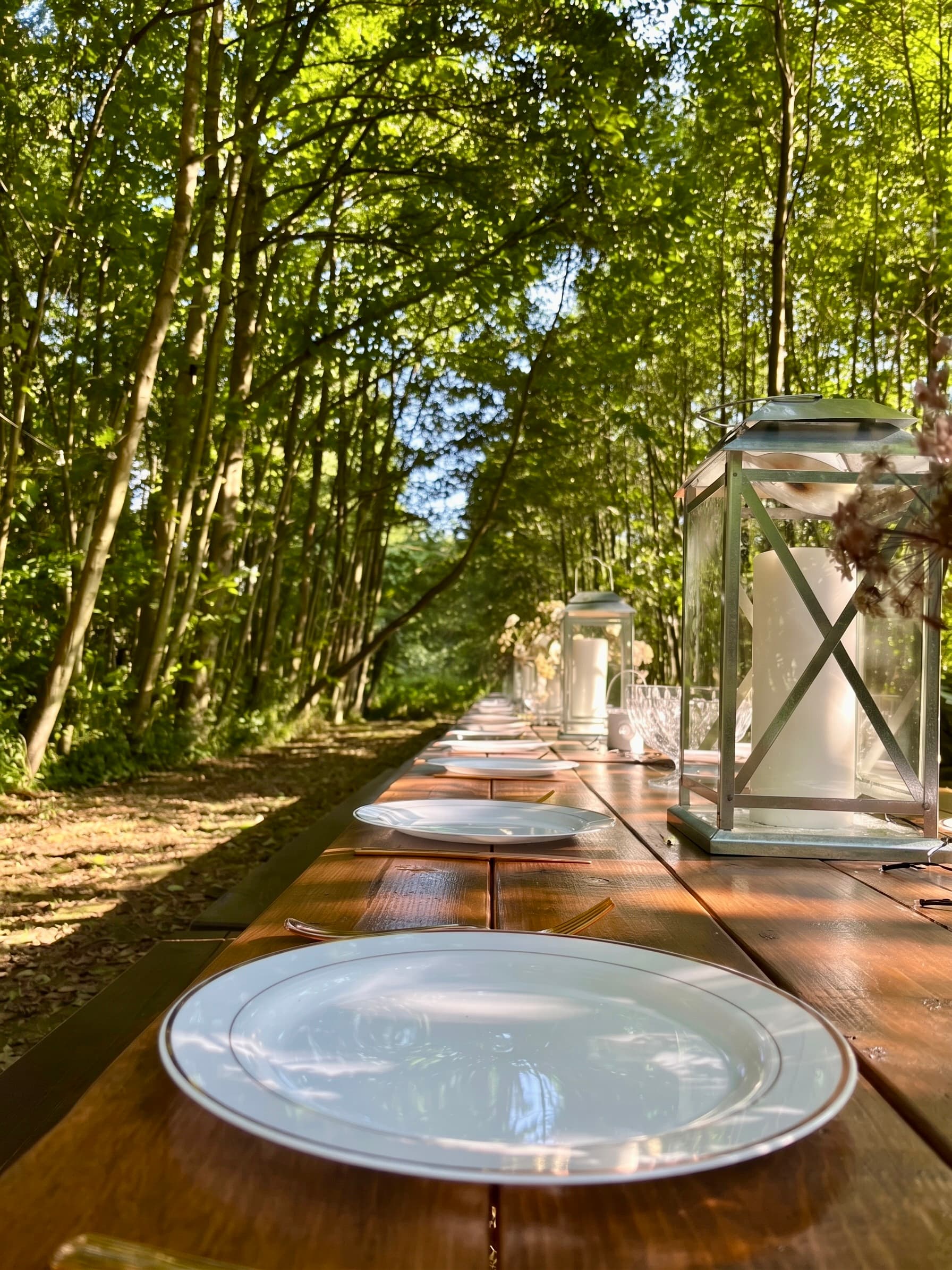 Evening light in the outdoor dining area at Ruthlin