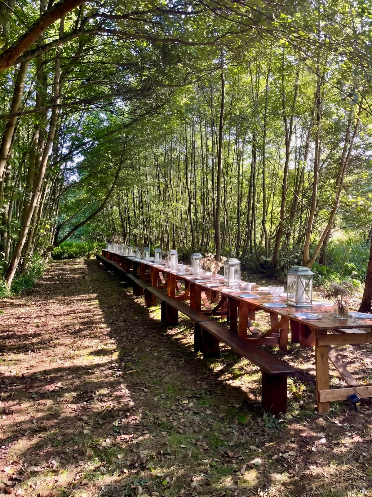 The banquet table set for dinner in the woodland