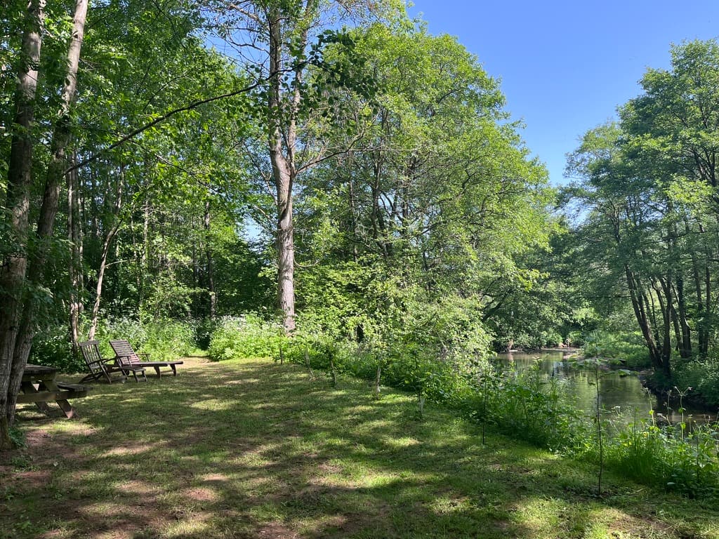 Loungers and a picnic table in a riverside clearing at Ruthlin, a riverside retreat in Monmouthshire