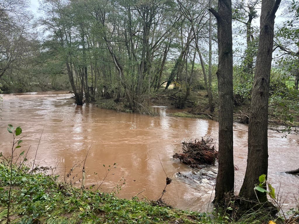 The River Monnow in flood, running high and brown through the trees at Ruthlin